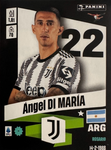 217.jpg