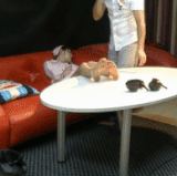 20240831 2fb6d731393be5eedd23uz4oAySYND3I.gif