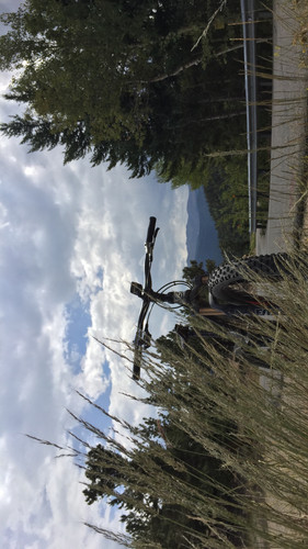 CA94481B AF2F 4FA5 8BFA 2AE754FDC516.jpg