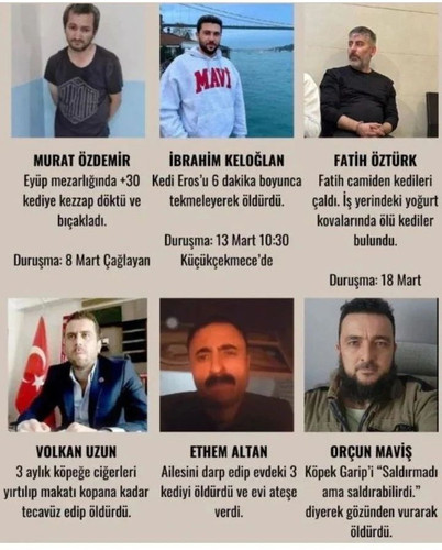 GWgUj9nWEAA l1D?format=jpg.jpg