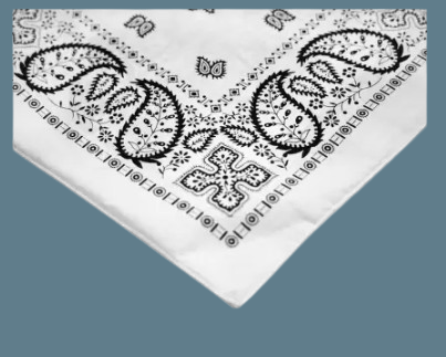 59 removebg preview (3).png