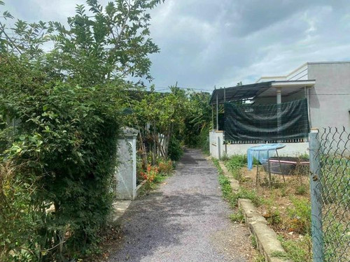 458172865 506009375713607 5884661224327271652 n.jpg