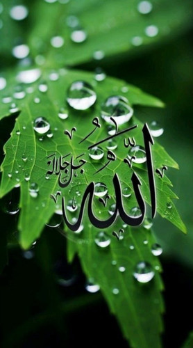 GWmaWe XIAArOFr?format=jpg.jpg