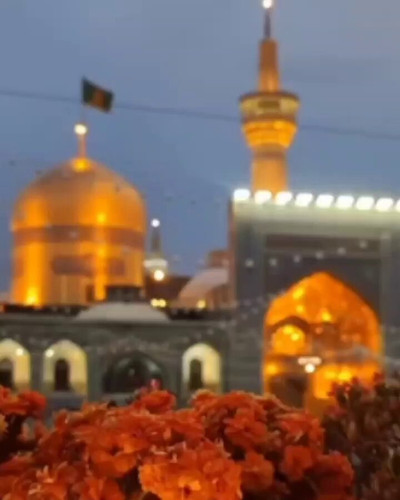 iB 4qsTNVHvDwAAd.jpg