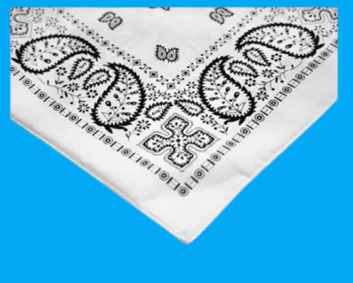 59 removebg preview (1).png