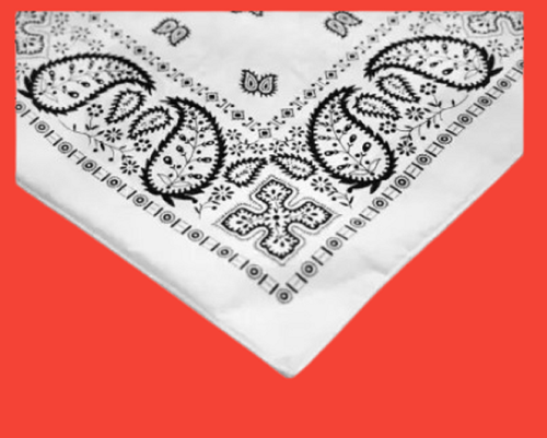 59 removebg preview.png