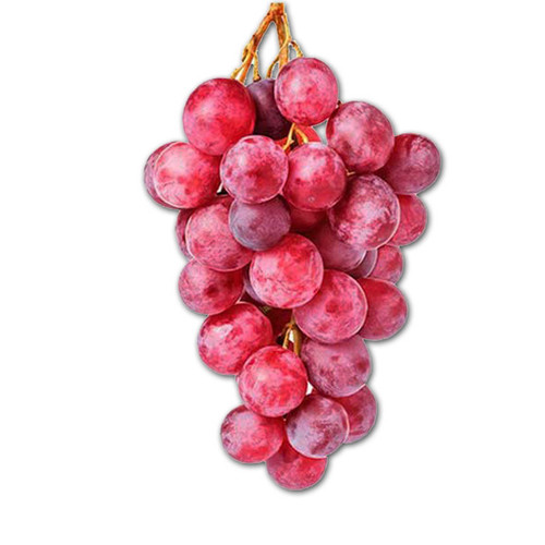 UVAS IMPOTADAS.jpg