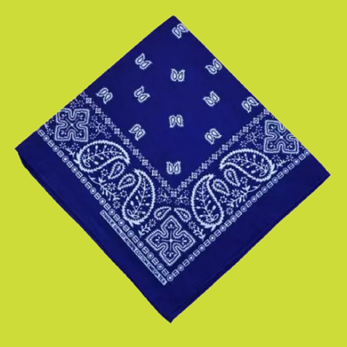 57 removebg preview.png