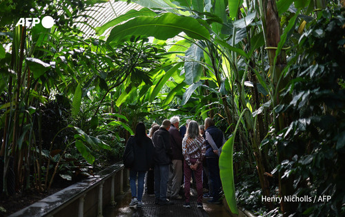 GWlyqNaa4AADH H?format=jpg.jpg