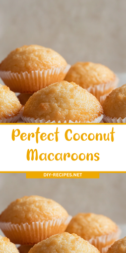 107ef13f 610d 414b aa0c 65500ee28e80.png