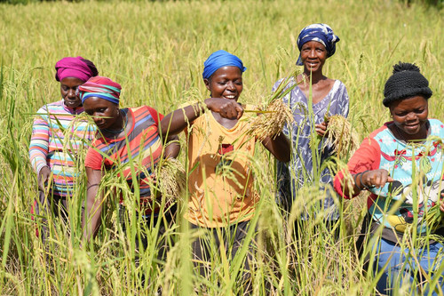 GWj zHyW4AETud0?format=jpg.jpg