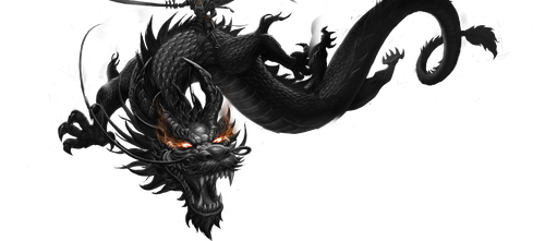 pngwing.com (20).png