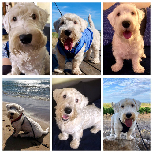 EOgP5W WkAYVJWz?format=jpg.jpg