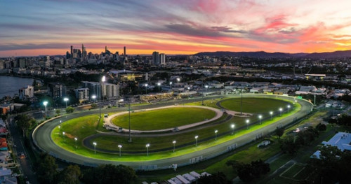 live harness racing in brisbane.jpg