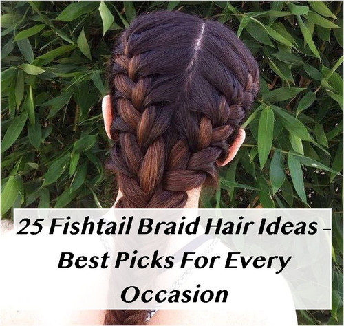 Image1165 08 16 2024.jpg