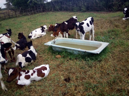 GWlBp gWcAAnyA6?format=jpg.jpg