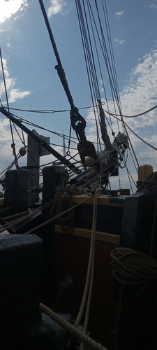 IMG 20240901 105903.jpg