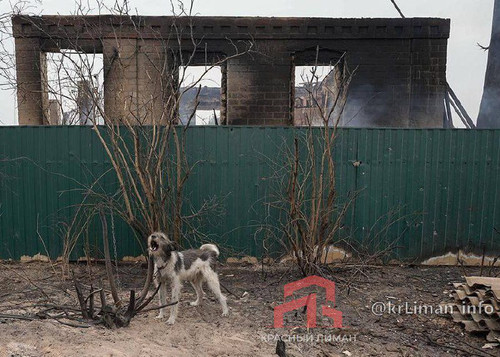 J6N0t5rKf Ow5Vyyi6kiz9rH02oc7OdRBtcB3KjTuwGAf4hv1l4E8qMZk4YCOq2yuzpY1Dq0hpxuWguZV S1e0Uf34xXU5Pr5J8Y.jpg