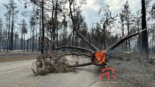 h A0ny5f9wQencg4kLnuWtYBrNr GYy EallLHCxH525cQpcRsSo19gmnsxlCujK3b7KZ33O48S5FPjzY9ySZs9ZVxTN6ulhUzk5.jpg