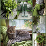 (1) Collage Cat