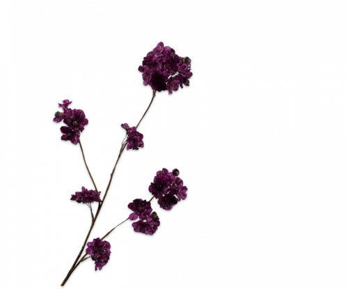 152001.png