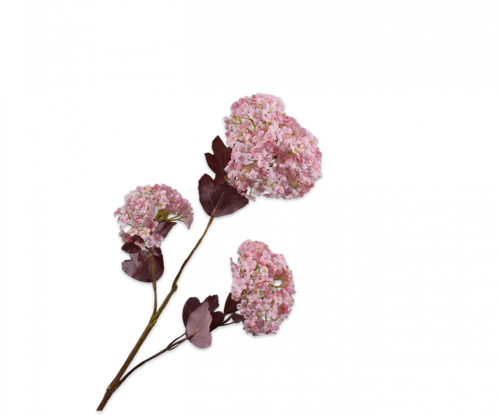 152024.png