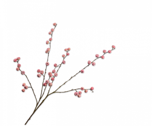 152076.png