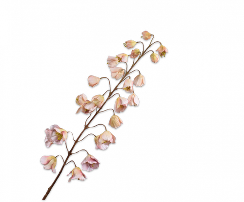 152081.png