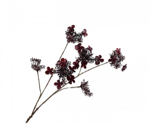 152096.png