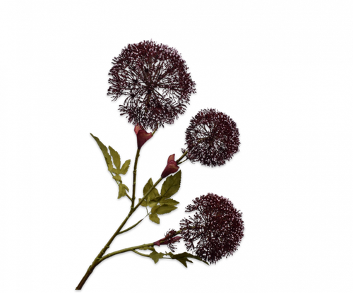 152067.png