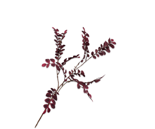 154021.png