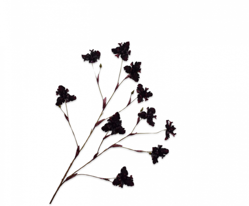 152226.png
