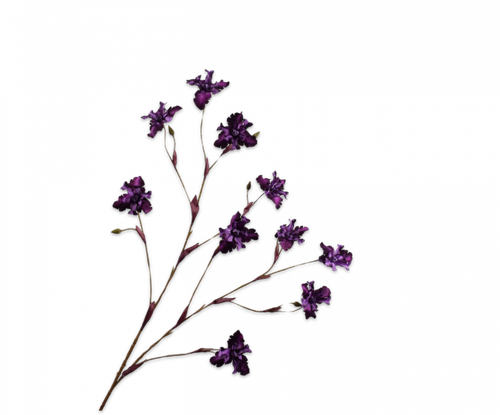 152225.png