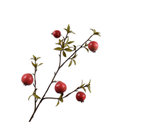 152289.png