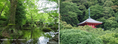gifu1.jpg