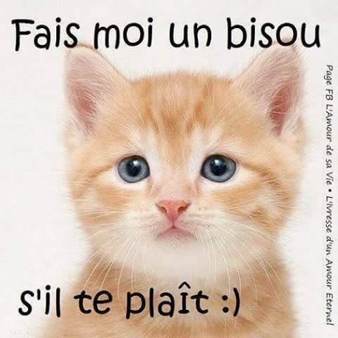 2ce9026ad 0d0a 4e62 bf71 2a363197d347.jpg