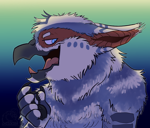 IMG 3334.png
