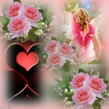 beautiful flowers2
