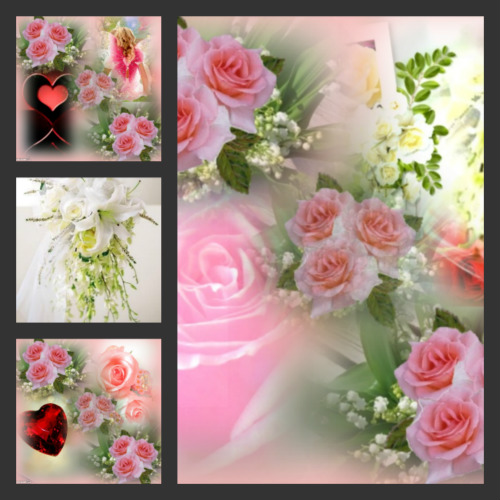 beautiful flowers6.jpg