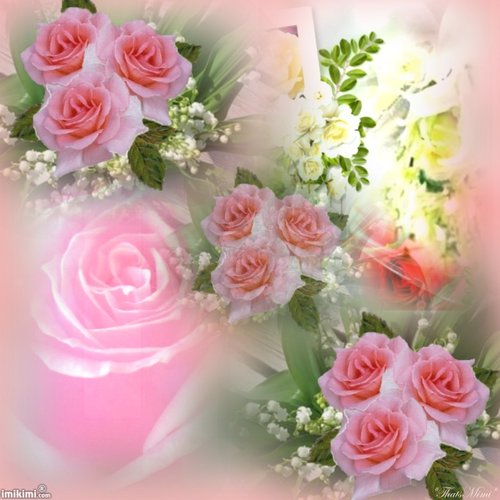 beautiful flowers4.jpg