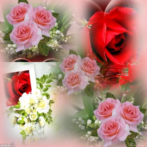 beautiful flowers1.jpg