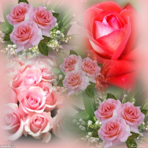 beautiful flowers5.jpg