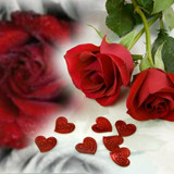 beautiful flowers7