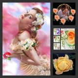 beautiful flowers8