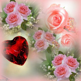beautiful flowers3