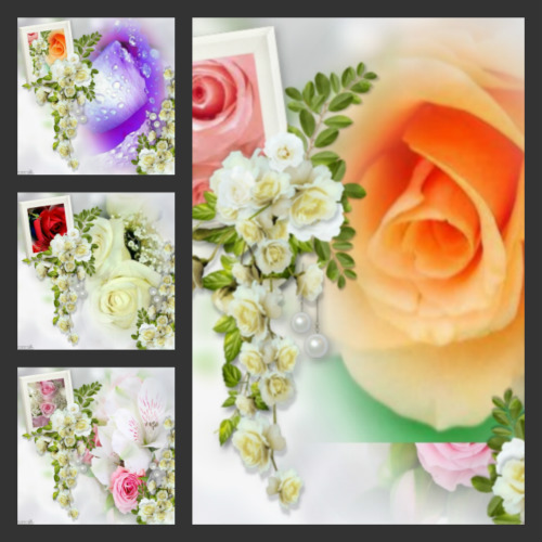 beautiful flowers10.jpg