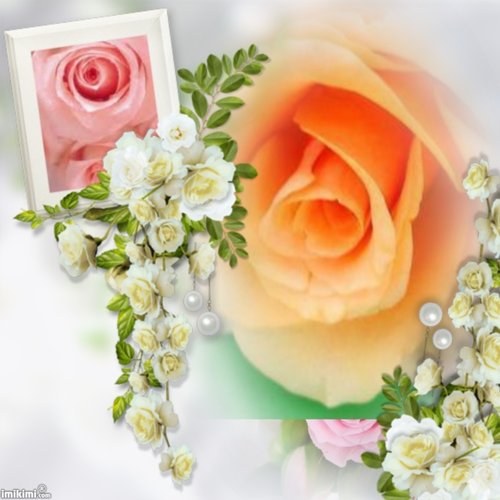 beautiful flowers12.jpg