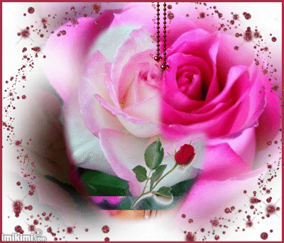 beautiful flowers13.gif