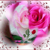 beautiful flowers13