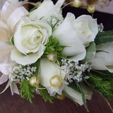 beautiful flowers50